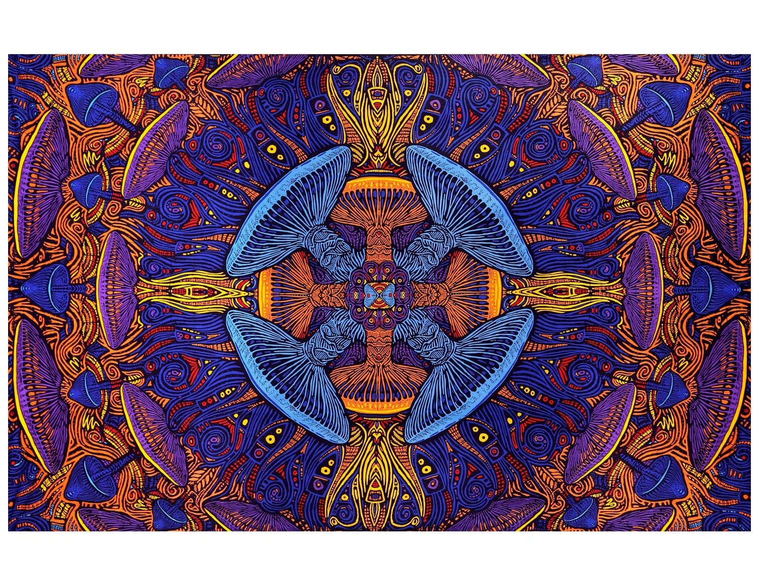 Sunshine Joy 3D Magic Mushroom Tapestry Tablecloth Wall Art Beach Sheet Huge 60X90 Inches - Amazing 3D Effects