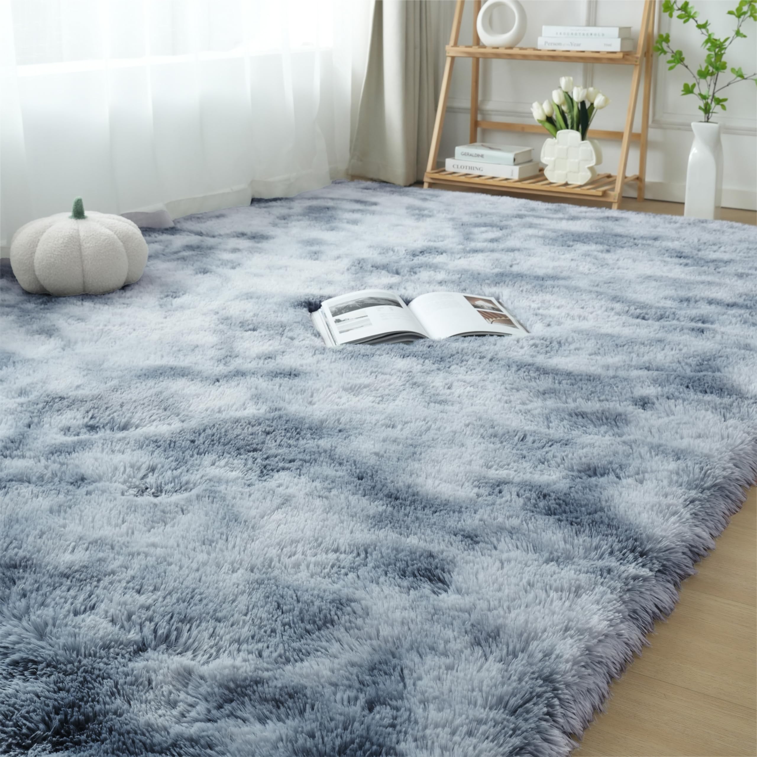 Fluffy Area Rug Living Room: Grey Shag Rug 6x9 Plush Rugs for Living Room - Large Fuzzy Soft Carpet (Tie-Dyed Light Gray, 6x9 Fe