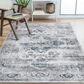 xilixili 8x10 Area Rugs for Living Room - Stain Resistant Anti-Slip Backing Washable Rug, Rugs for Bedroom,Dining Room,Vintage P