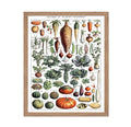 Poster Master Classic Adolphe Millot Poster - Vintage Drawing Print - Gift for Artist, Chef - Vegetables, Botanical, Root Plants