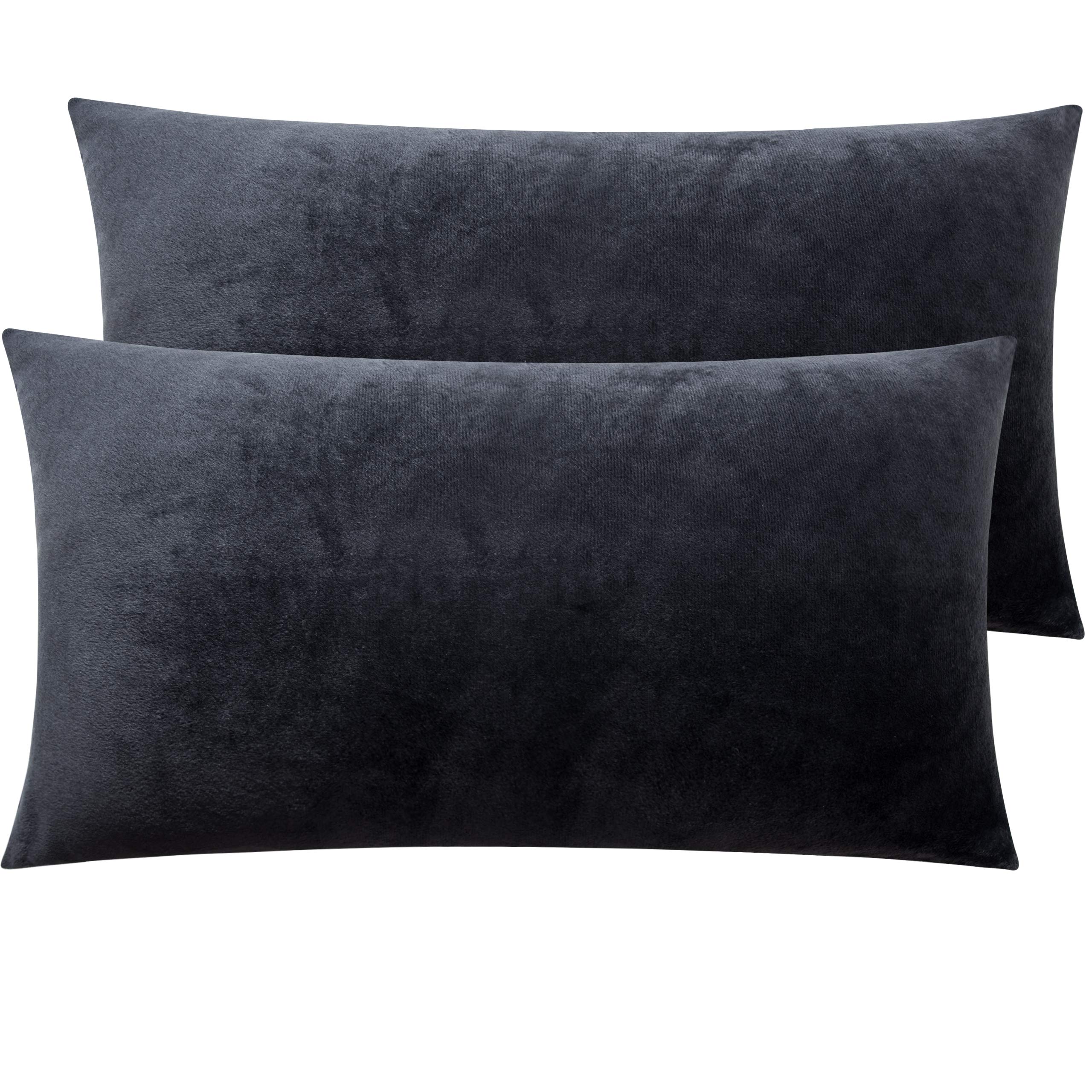 Ntbay 2 Pack Zippered Velvet King Pillowcases, Super Soft And Cozy Luxury Fuzzy Flannel Pillow Cases With Zipper, 20X36 Inches,