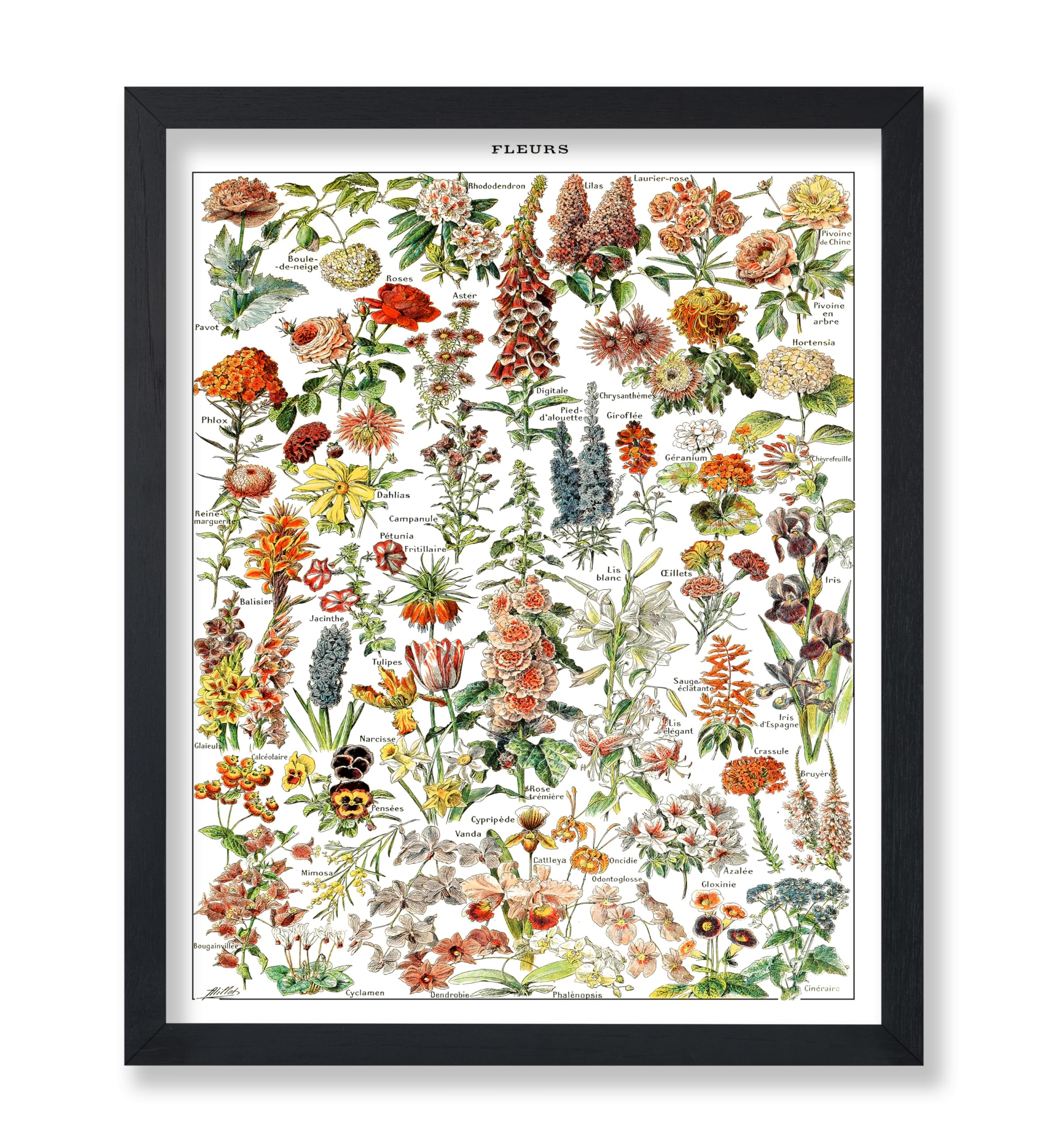 Poster Master Vintage Poster - Retro Botanical Print - Gift for Gardener, Friend - Assorted Flowers, Floral, Garden, Rustic - Wa