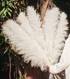 46'' Inch 10 Stems White Pampas Grass Decor Tall, Dry Flowers For Floor Vases Decor, Natural Dried Flowers For Wedding, Natural