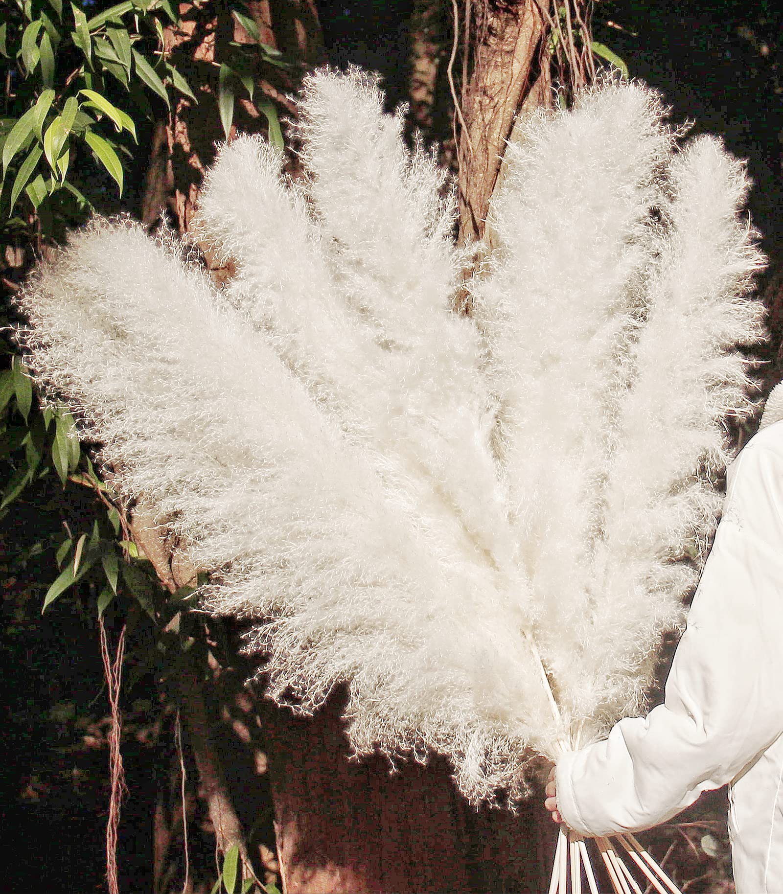 46'' Inch 10 Stems White Pampas Grass Decor Tall, Dry Flowers For Floor Vases Decor, Natural Dried Flowers For Wedding, Natural