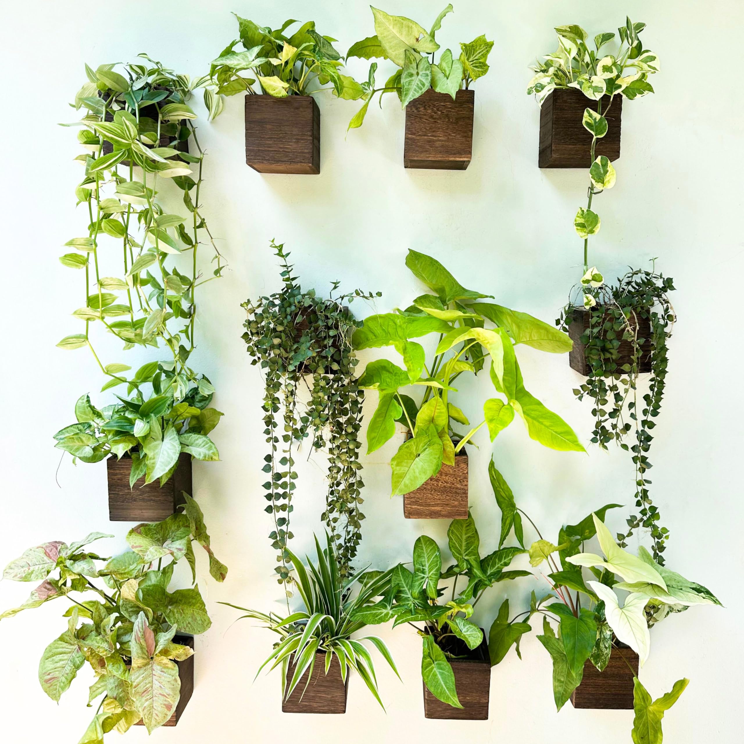 Lalagreen Indoor Planter Box For Plants (12 Pack, 4X4 Inch) Small Square Wooden Wall Mounted Planters Wood Window Boxes Hanging