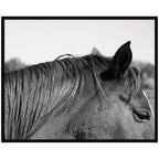 Auburn by Alicia Bock Framed Wall Art Print