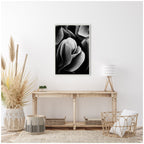 Sylvie Black and White Flower Petals Framed Canvas by Emiko and Mark Franzen of F2Images