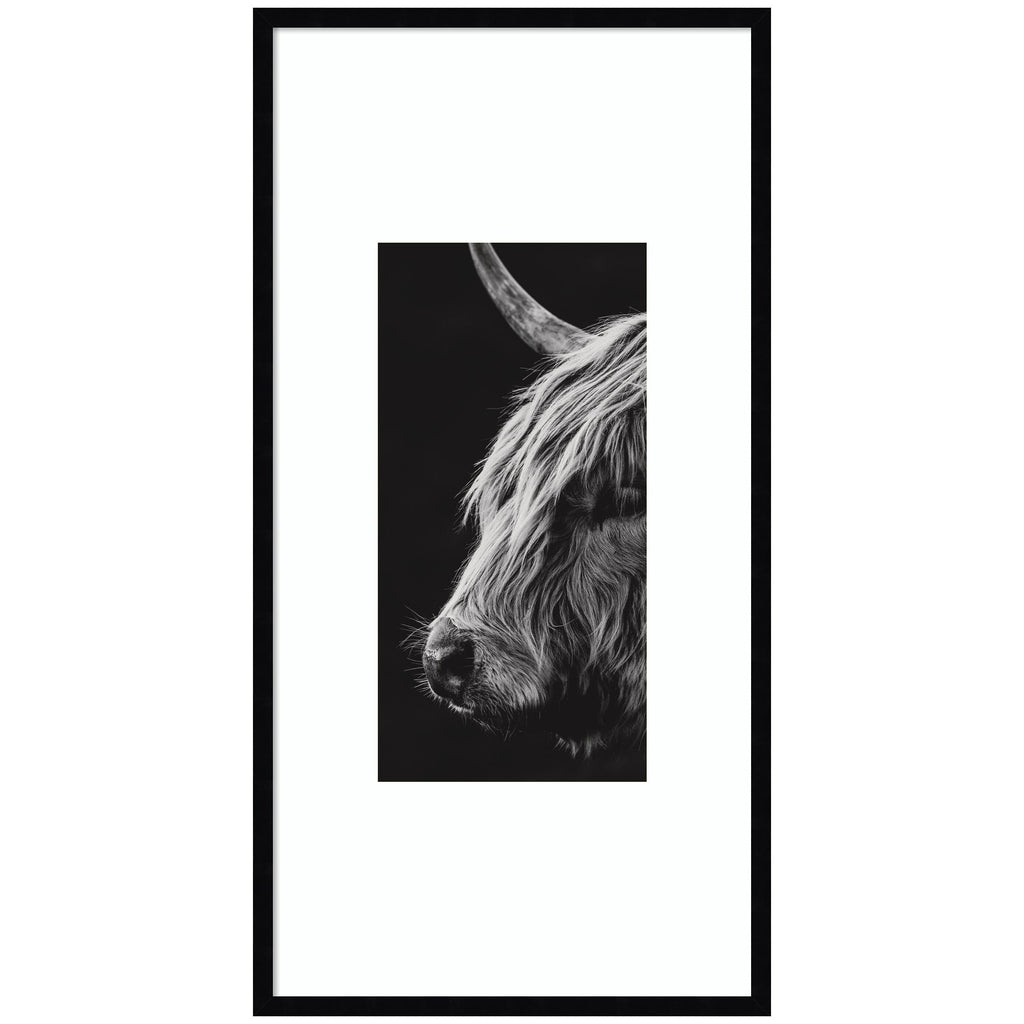 Scottish Highland by Crystal Lynn Collins Framed Wall Art Print