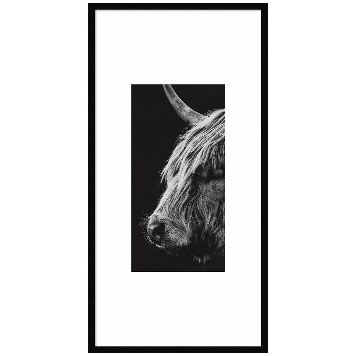 Scottish Highland by Crystal Lynn Collins Framed Wall Art Print
