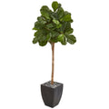 71 Fiddle Leaf Fig Artificial Tree In Black Planter