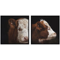 Cow Close 2 Piece Framed Wall Art Print Set by Emiko and Mark Franzen F2 Images
