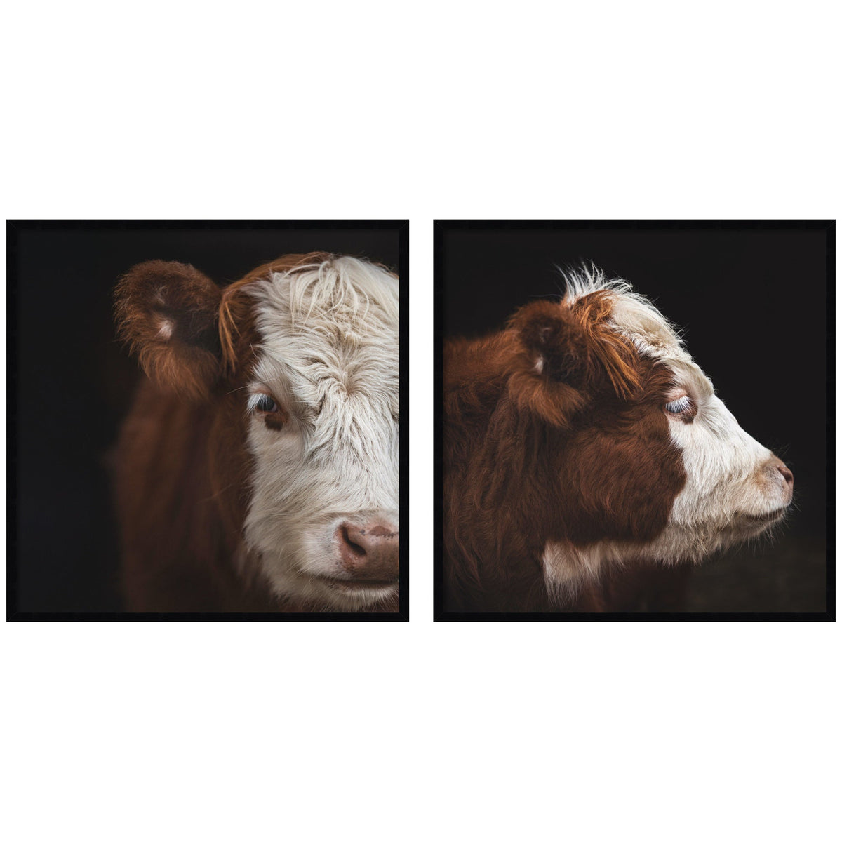 Cow Close 2 Piece Framed Wall Art Print Set by Emiko and Mark Franzen F2 Images