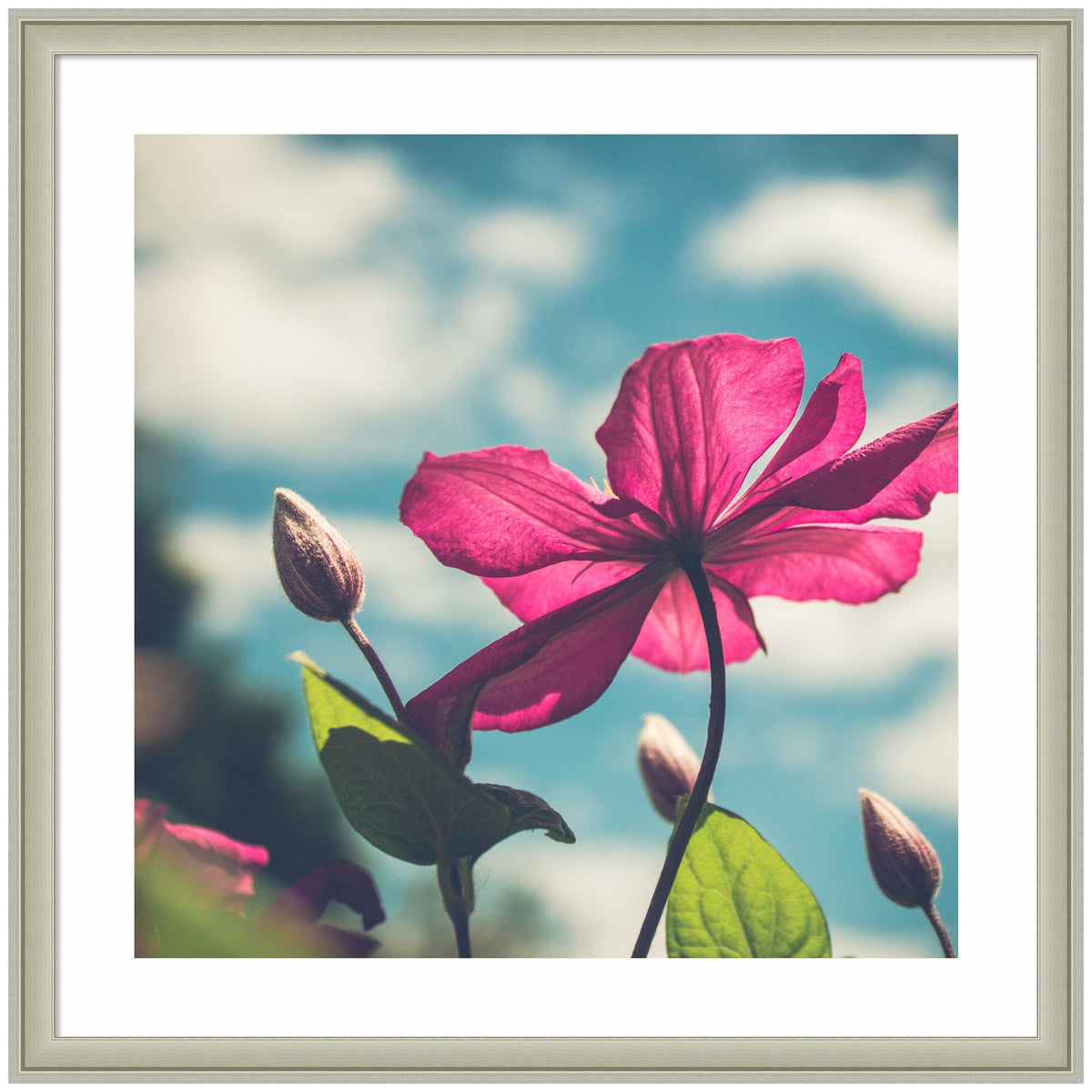 Framed Art Flower in the Sky by Stephanie Klatt