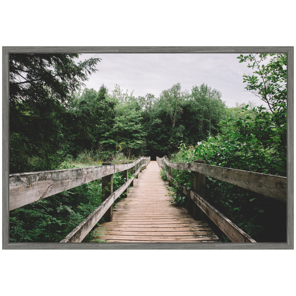 Sylvie Pathway to the Forest Landscape Framed Canvas by Patricia Hasz