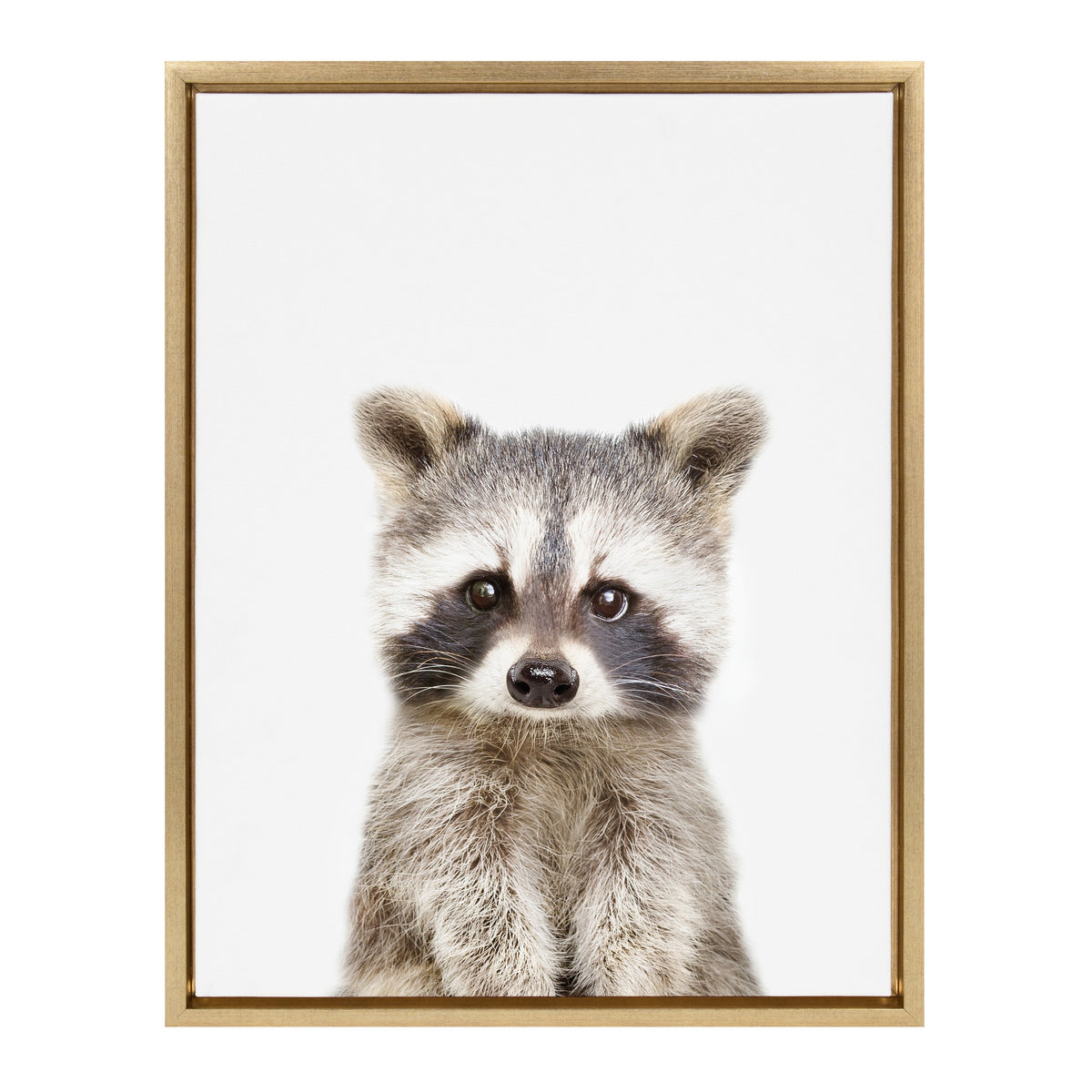 Sylvie Raccoon Framed Canvas by Amy Peterson Art Studio