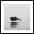 Humpback Whale No. 4 by Laura Evans Framed Wall Art Print