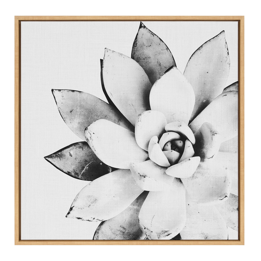 Sylvie Succulent Framed Canvas by Simon Te of Tai Prints