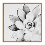 Sylvie Succulent Framed Canvas by Simon Te of Tai Prints