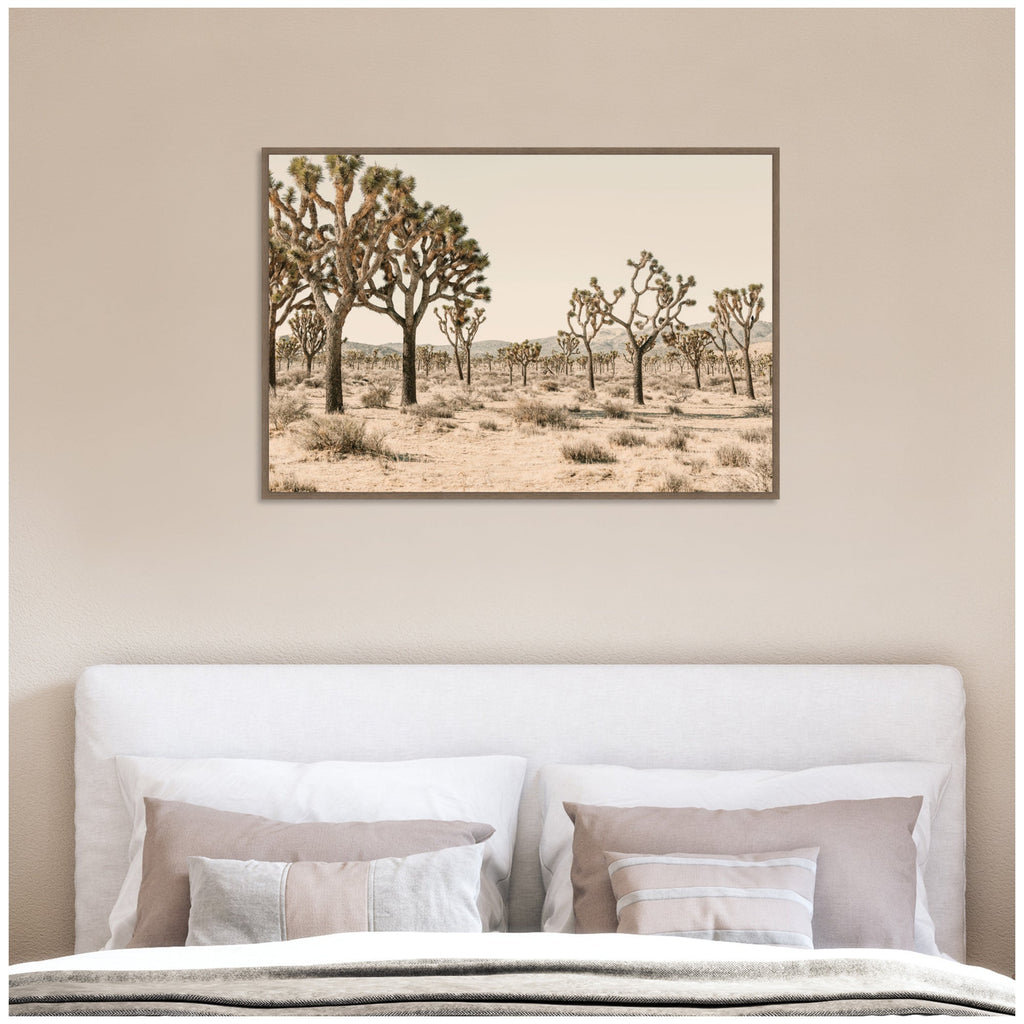 Joshua Tree No. 2 by Alicia Bock Framed Canvas Wall Art Print