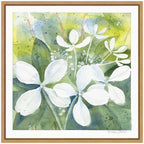 Sylvie White Phantom Hydrangea in Greens Framed Canvas by Patricia Shaw