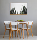 Sylvie Evergreens Framed Canvas by Patricia Hasz