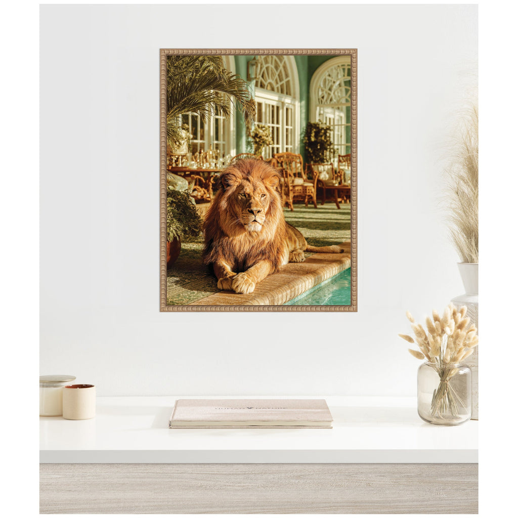 Majestic Lion by the Pool  by Michael Schauer Framed Canvas Wall Art Print