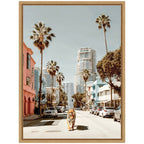 Sylvie California Tiger Roaming through Palm Springs Framed Canvas by Michael Schauer