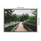 Sylvie Pathway to the Forest Landscape Framed Canvas by Patricia Hasz