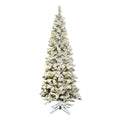 Vickerman 5.5 X 30 Inch  Flocked Pacific 200Led Wmwht  A100356Led