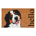 Calloway Mills 109812436 Burmese Mountain Dog Doormat 24' X 36'