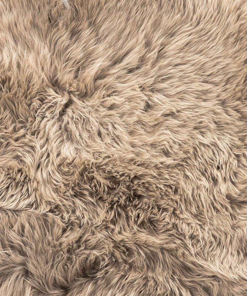 HomeRoots 2' X 3' Latte New Zealand Natural Sheepskin Rug