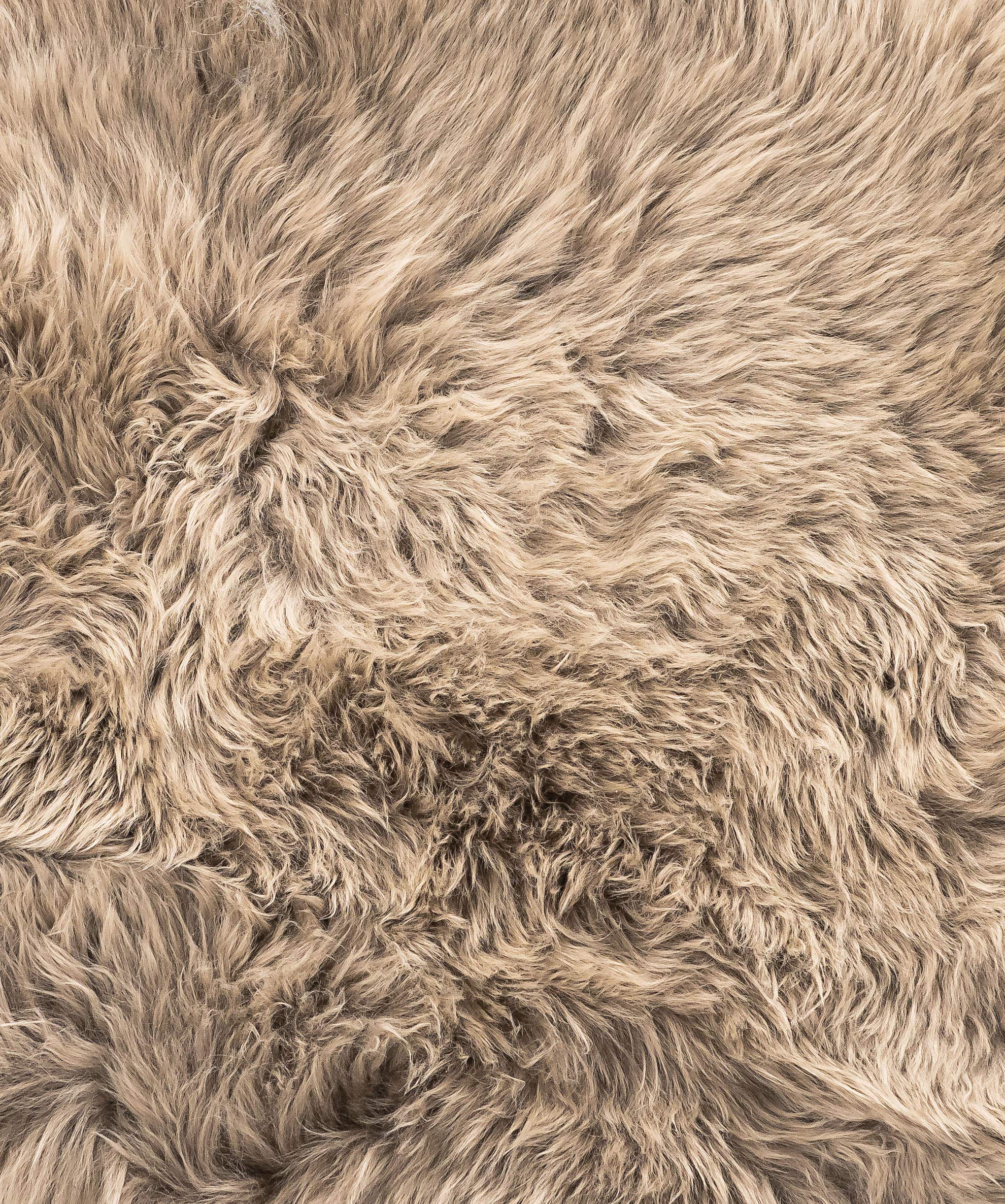 HomeRoots 2' X 3' Latte New Zealand Natural Sheepskin Rug