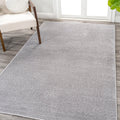 JONATHAN Y SEU100K-14 Haze Solid Low-Pile Indoor Area Rug, Coastal, Bohemian, Minimalist, Classic, Casual for Bedroom,Kitchen,Li