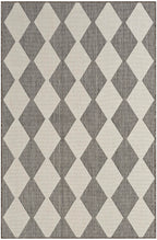 Nourison Positano Indoor/Outdoor Charcoal 4' X 6' Area Rug, Easy Cleaning, Non Shedding, Bed Room, Living Room, Dining Room, Backyard, Deck, Patio (4X6)