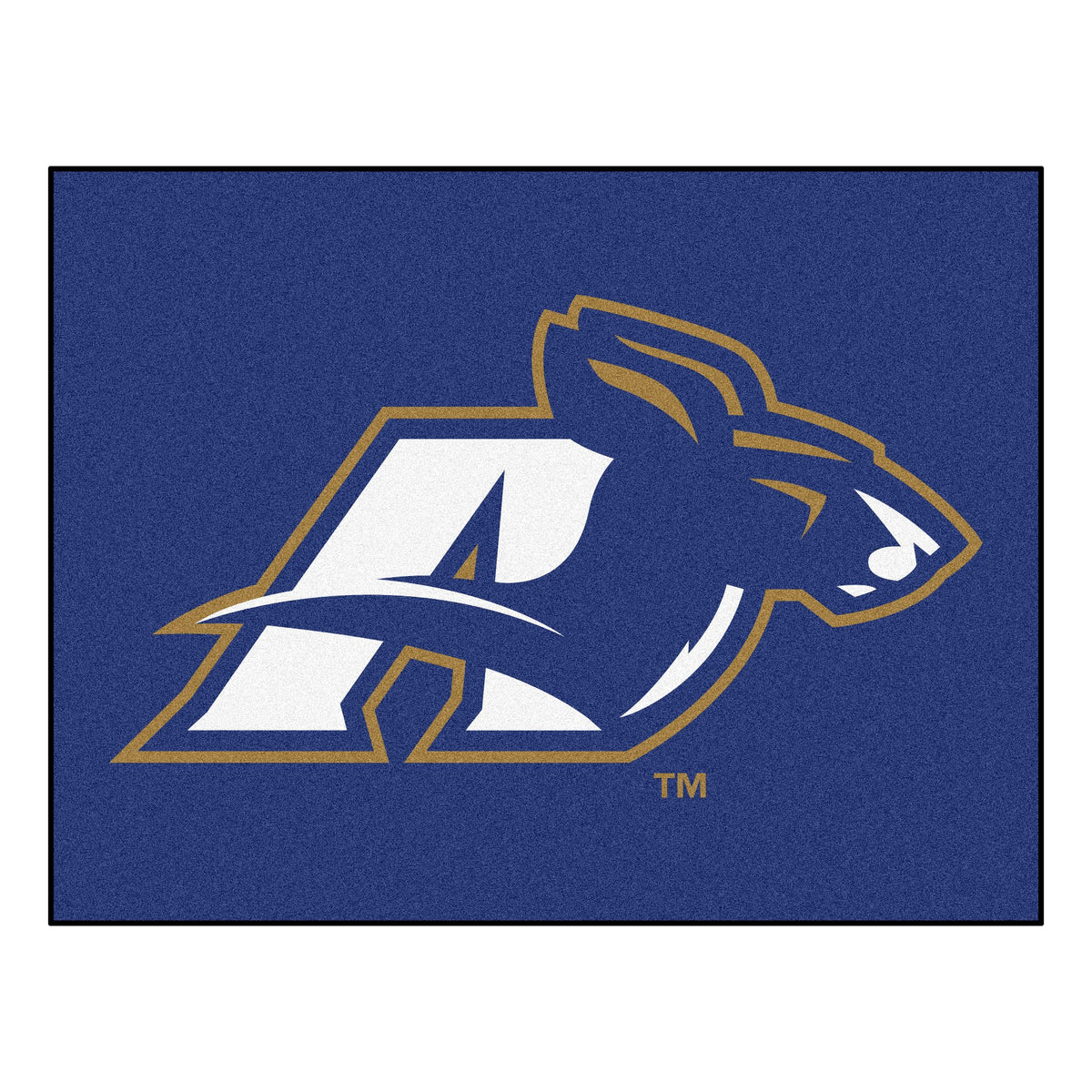 University Of Akron Allstar Rug