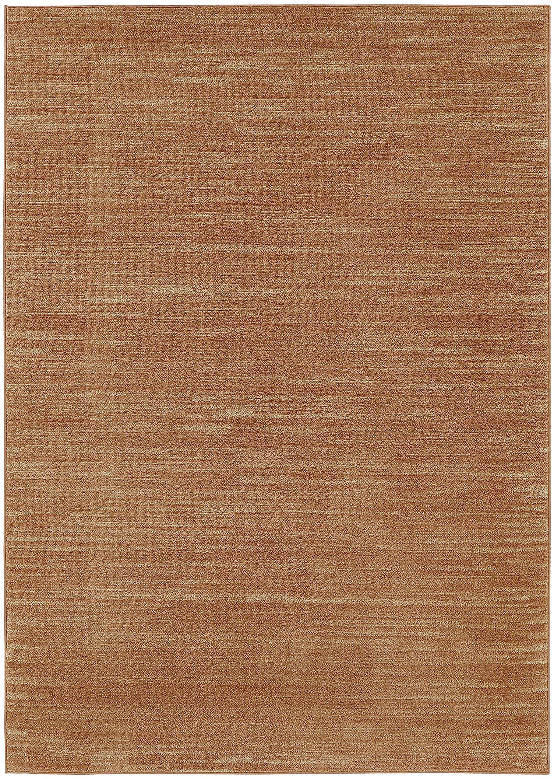 Nourison Essentials Indoor/Outdoor Rust 5' X 7' Area Rug, Easy Cleaning, Non Shedding, Bed Room, Living Room, Dining Room, Backyard, Deck, Patio (5X7)