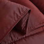 Chezmoi Collection 3-Piece Down Alternative Comforter Set - Lightweight All Seasons Luxurious Brushed Microfiber Comforter (Quee