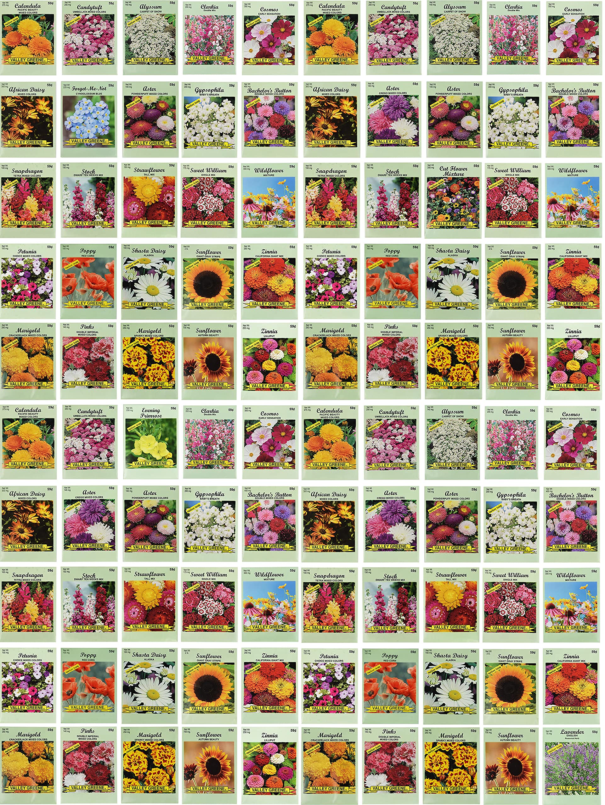 Set Of 100 Assorted Valley Green Flower Seed Packets Flower Seeds In Bulk - 20 Varieties Included