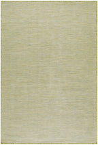 Nourison Positano Indoor/Outdoor Green 4' X 6' Area Rug, Easy Cleaning, Non Shedding, Bed Room, Living Room, Dining Room, Backyard, Deck, Patio (4X6)