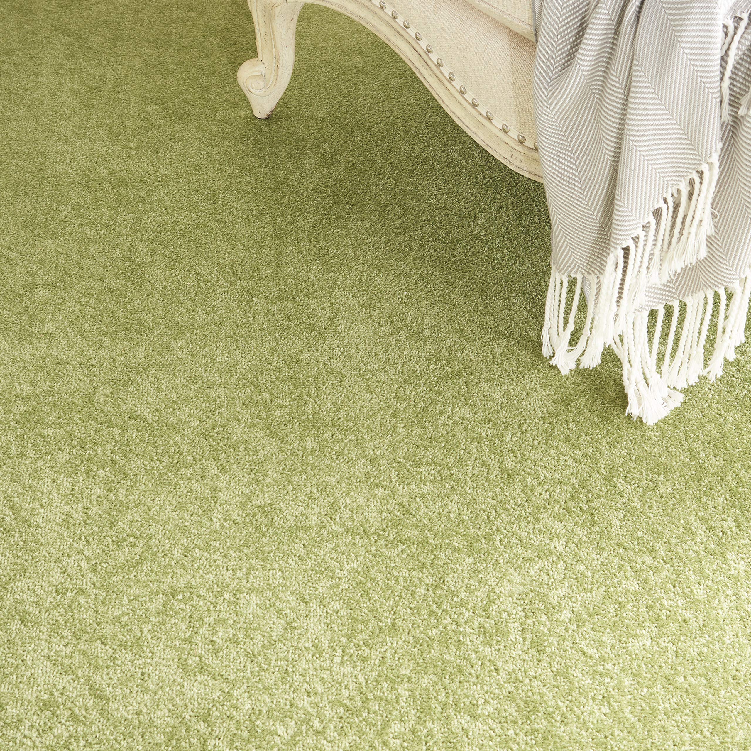 Nourison Essentials Indoor/Outdoor Green 10' X 14' Area -Rug, Easy -Cleaning, Non Shedding, Bed Room, Living Room, Dining Room, Backyard, Deck, Patio (10X14)