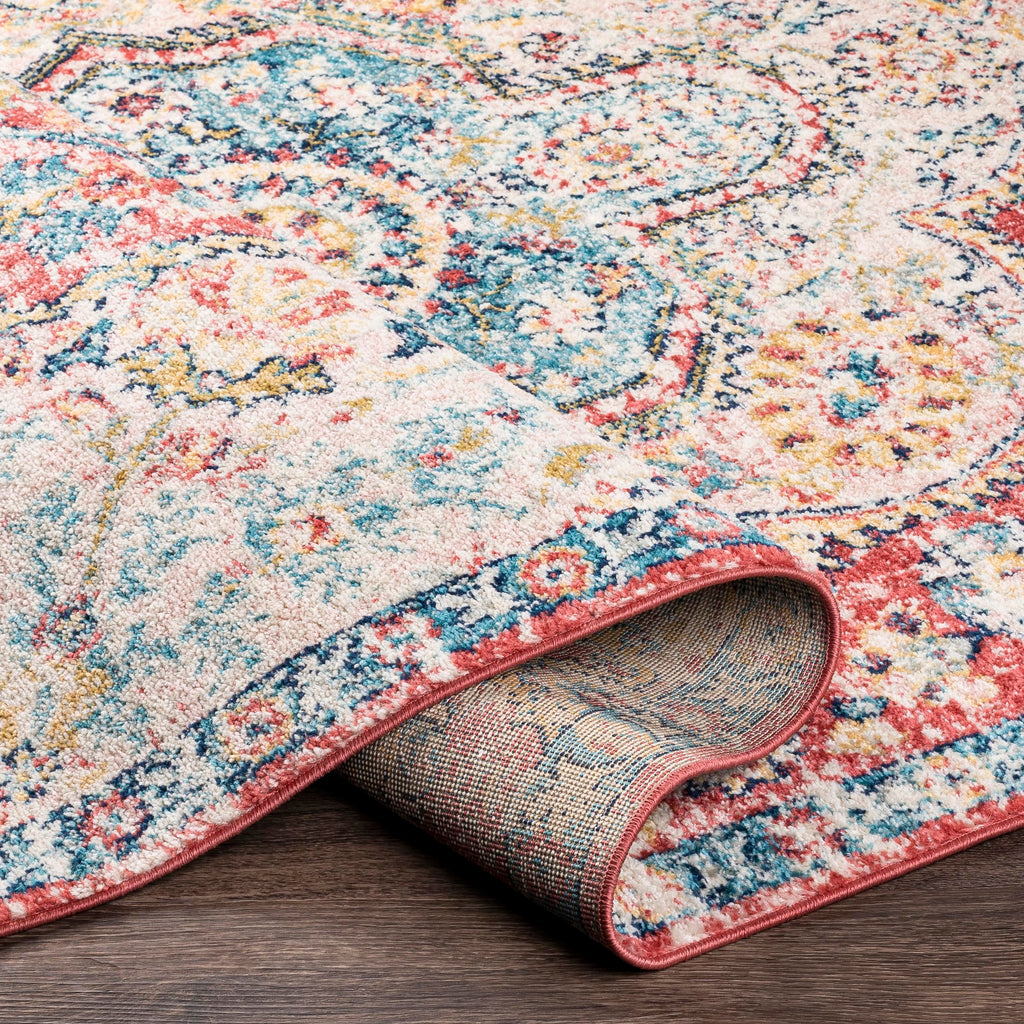 Livabliss Romaine Vintage Medallion Area Rug,2' X 3', Rose/Navy