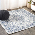 Jonathan Y Smb102B-5Sq Rozetta Boho Medallion Textured Weave Indoor Outdoor -Area Rug Coastal Bohemian Rustic Glam Easy-Cleaning Bedroom Kitchen Backyard Patio Non Shedding, 5' Square, Gray/Navy