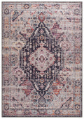 GLN Rugs Machine Washable Area Rug, Rugs for Living Room, Rugs for Bedroom, Bathroom Rug, Kitchen Rug, Printed Vintage Rug, Home