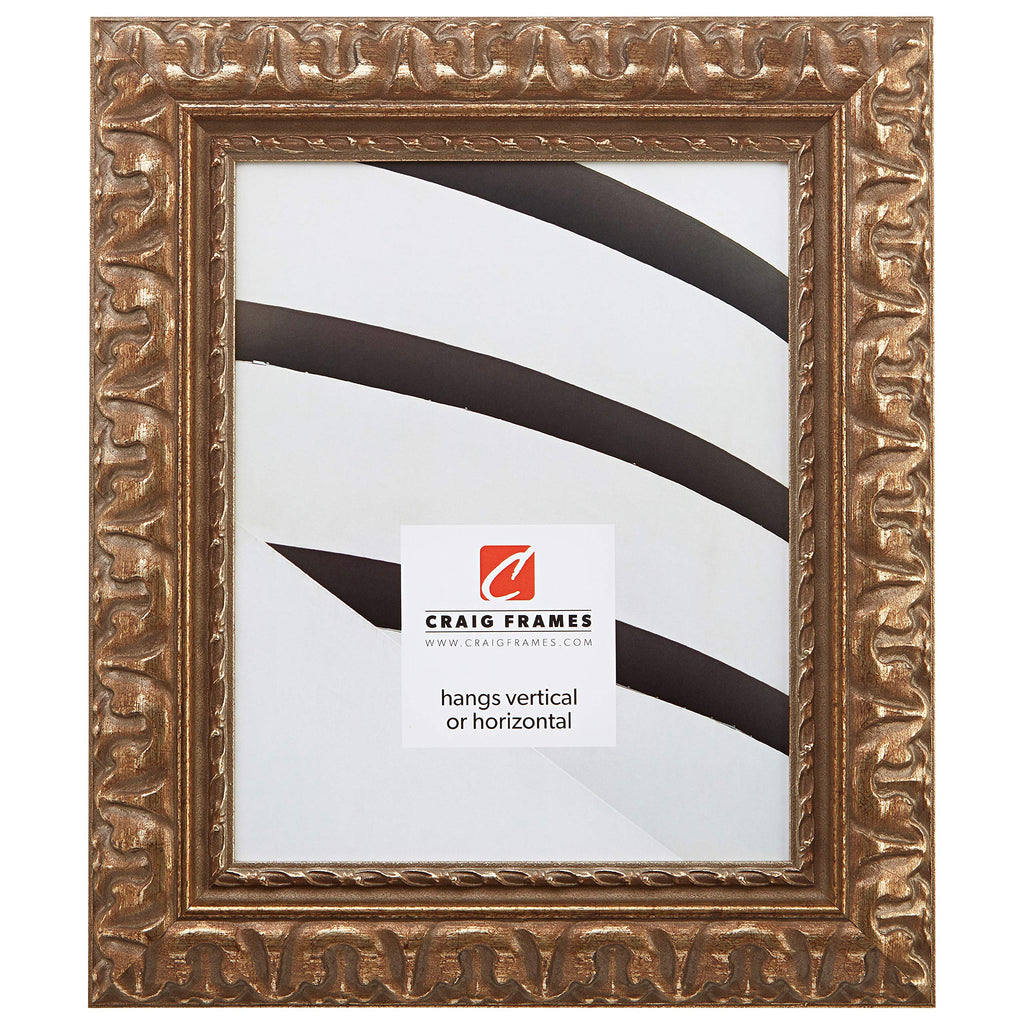 Craig Frames Bravado Ornate Antique Bronze Picture Frame, 8 by 12-Inch