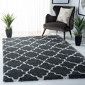 SAFAVIEH Hudson Shag Collection Accent Rug - 4 x 6, Dark Grey & Ivory, Trellis Design, Non-Shedding & Easy Care, 2-inch Thick 