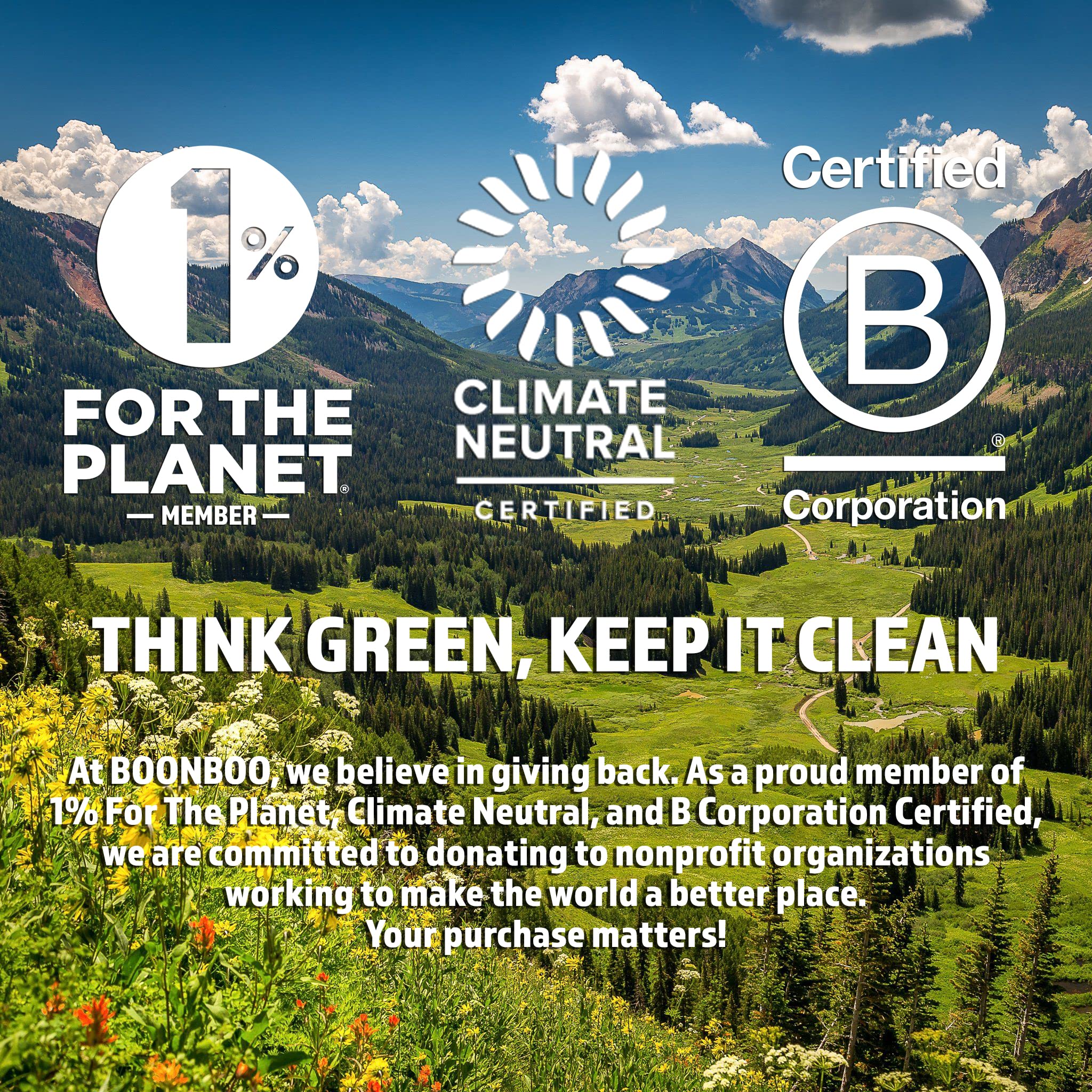 Boonboo Bamboo Toothpicks And Holder, Double-Sided, 450 Counts