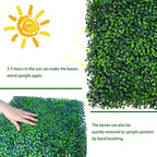 Odtory Artificial Grass Wall Panels,20X20 In 6P Uv-Anti Greenery Boxwood Panels For Indoor Outdoor Green Wall Decor & Ivy Fence