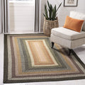SAFAVIEH Braided Collection Area Rug - 6 x 9, Multi, Handmade Country Cottage Reversible, Ideal for High Traffic Areas in Livi