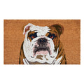 Calloway Mills 109802436 English Bull Dog Doormat 24' X 36'