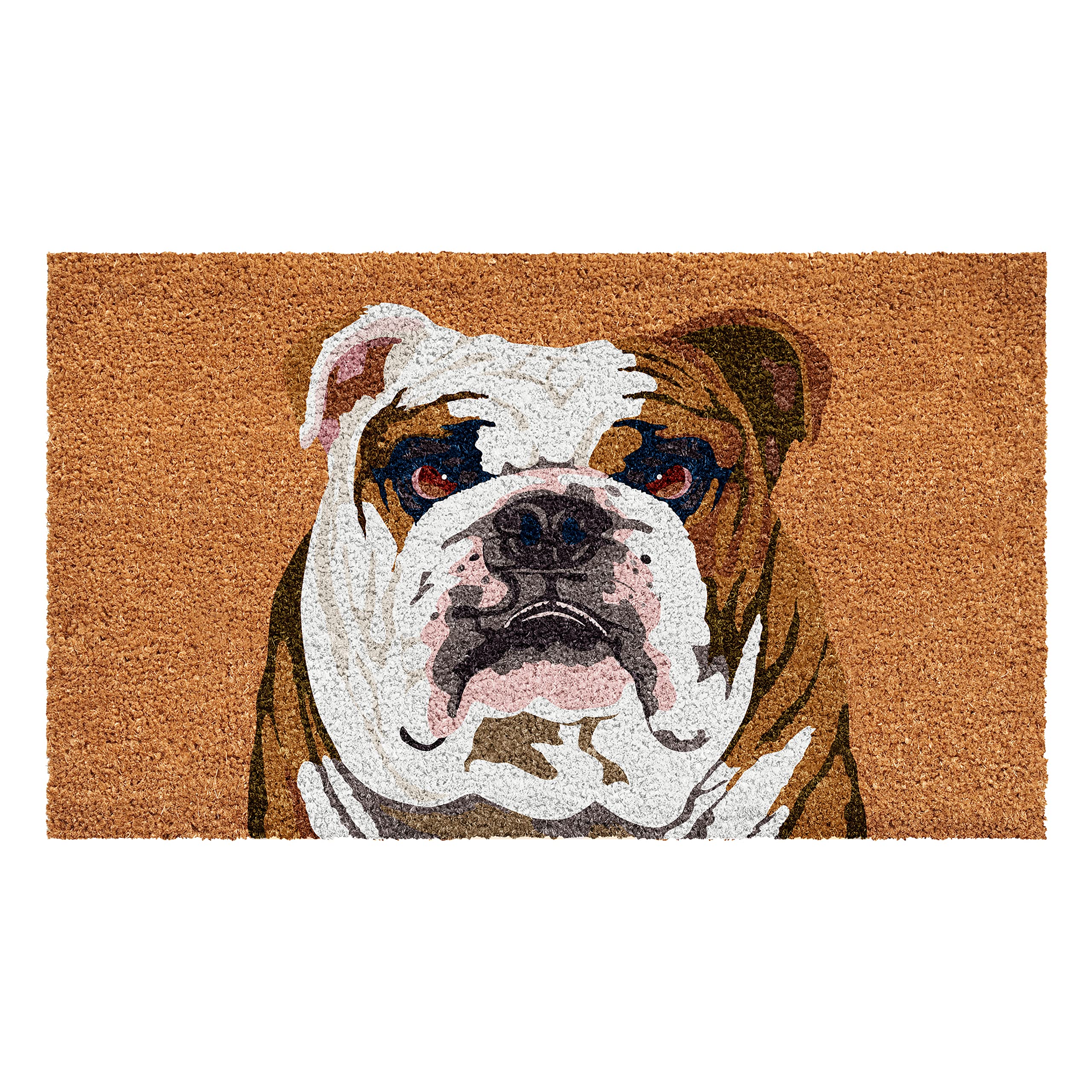 Calloway Mills 109802436 English Bull Dog Doormat 24' X 36'